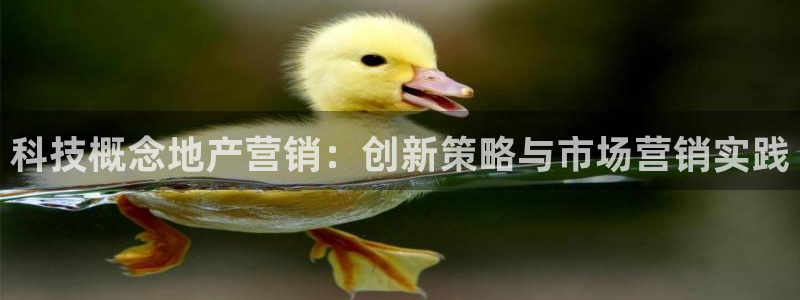金年会app官方网站入口下载
