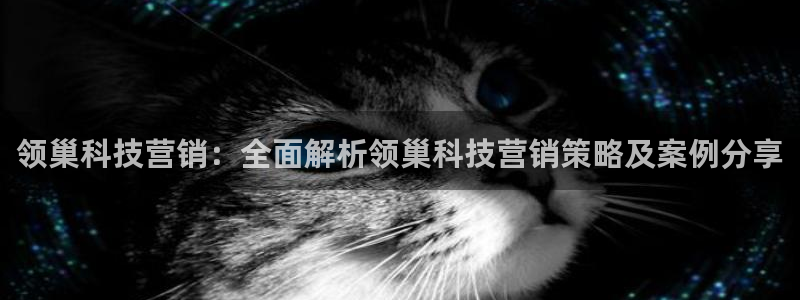 金年会体育论坛