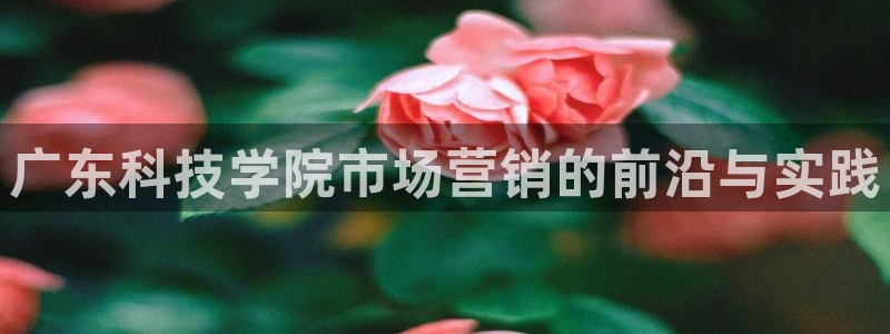金年会体育娱乐