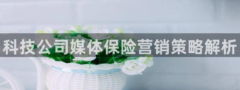 金年会电子游戏app官方