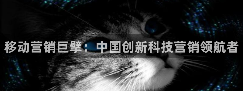 金年会体育官网登录入口