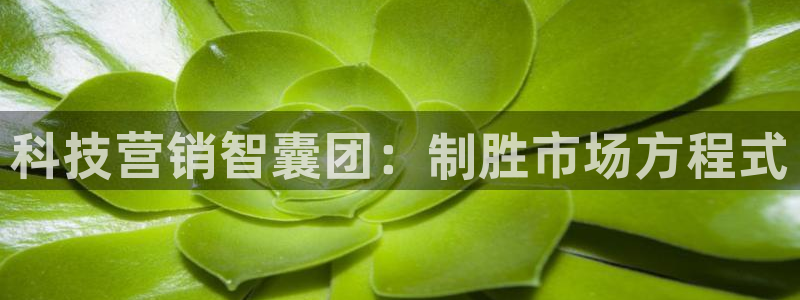 金年会网址导航下载安装
