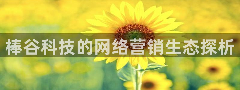 金年会体育信誉怎么样