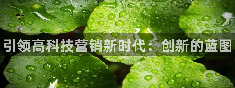 金年会网址