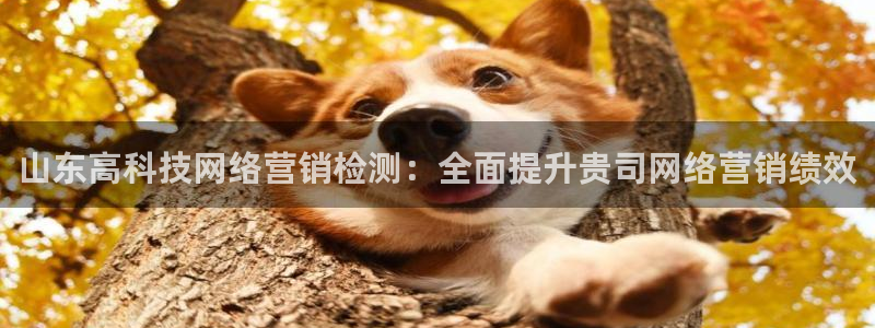 金年会网登录平台入口金年会