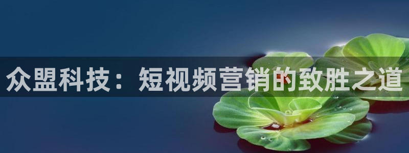 金年会电子游戏—2023全球木材与木制品大会