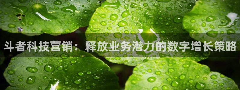 金年会下载官网app