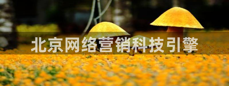 金年会官方网站入口v1.5.7