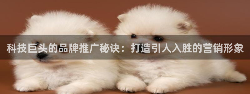 金年会体育登入入口