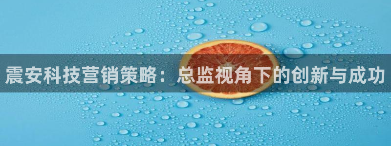 金年会体育app平台怎么样可靠吗