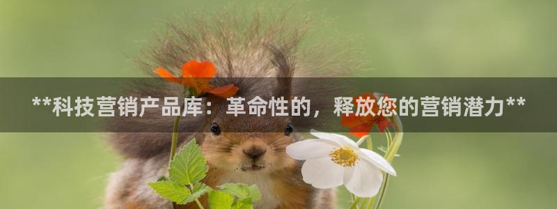 金年会官方网站入口