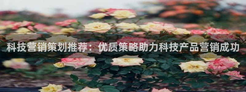 金年会赌博app平台可靠吗安全吗