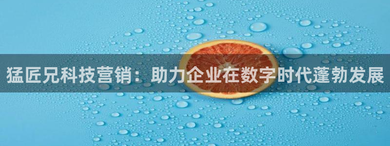 金年会-金字招牌信誉至上正规吗