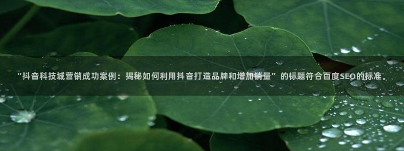 金年会金字招牌诚信至上龙年