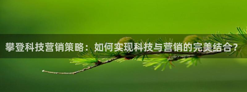 金年会体育平台新地址