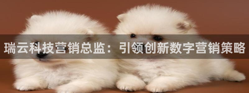 金年会网站入口官网