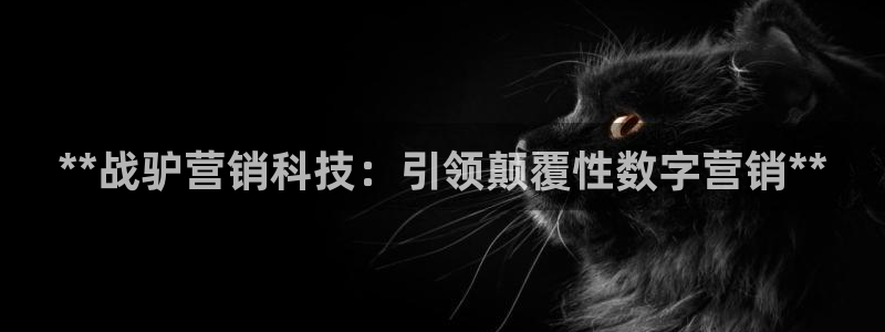 金年会网址