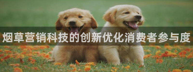 金年会赌博官网