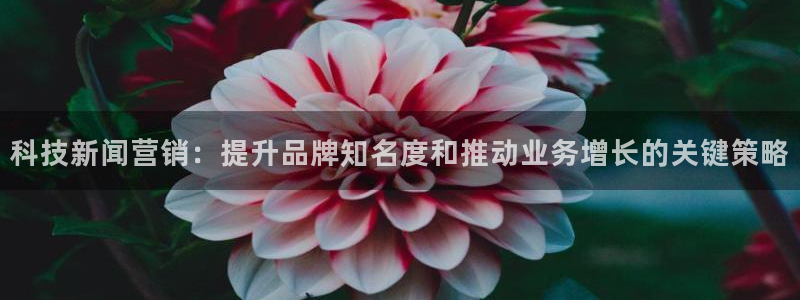 金年会 金字招牌诚信至上