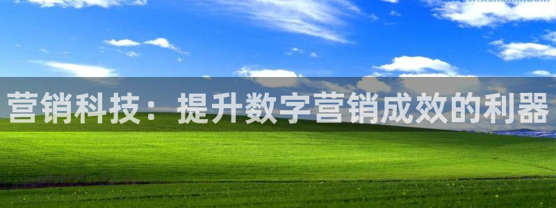 jinnianhui金年会下载