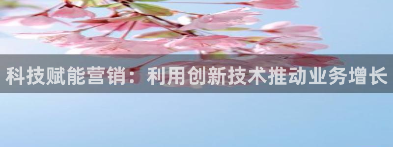 金年会网站下载
