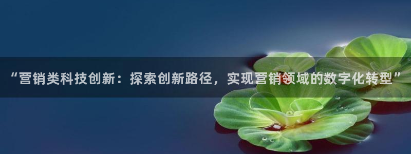 金年会体育官方app下载安卓
