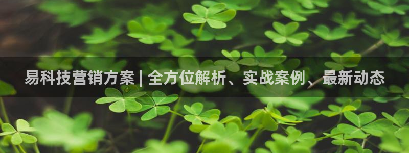 金年会官方入口app