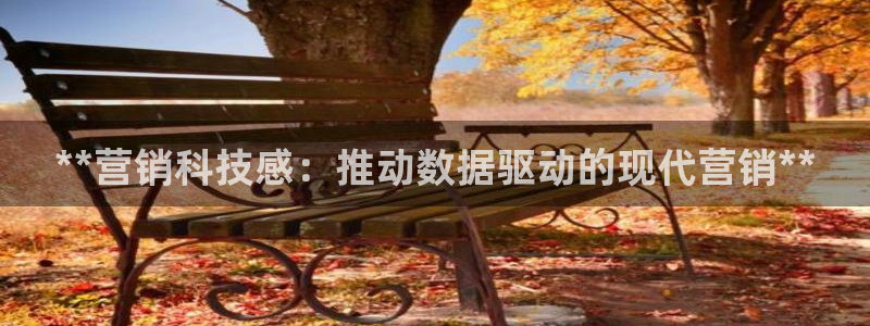 金年会手机版·(中国)官方网站-app下载