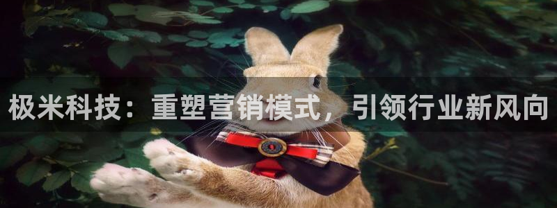 金年会平台官网下载
