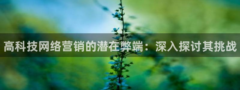 金年会赌博软件
