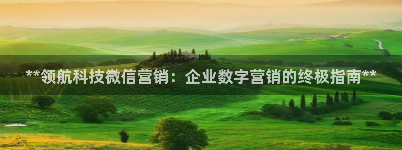 金年会官方在线入口网站2023