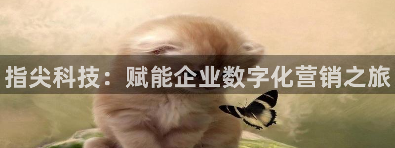 金年会网站事件后果