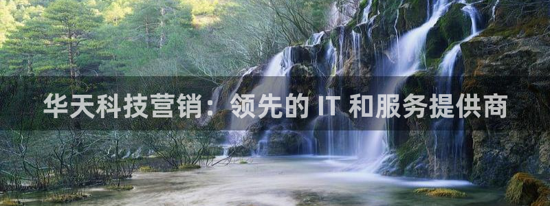 金年会网赌靠普吗