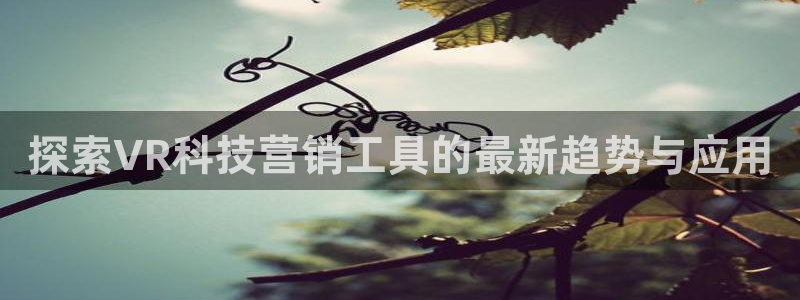 金年会金字招牌至上用了多少钱?