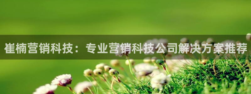 金年会赌博软件