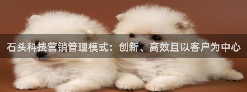 金年会体育中国官方网站