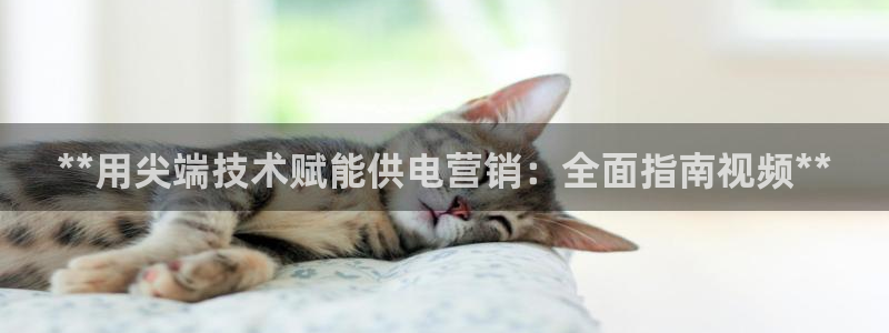 金年会官方在线入口网址是什么