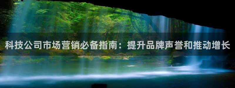 金年会体育黑
