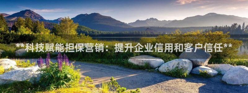 金年会网址导航在线播放