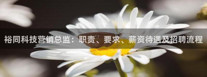 金年会体育买球app下载官网